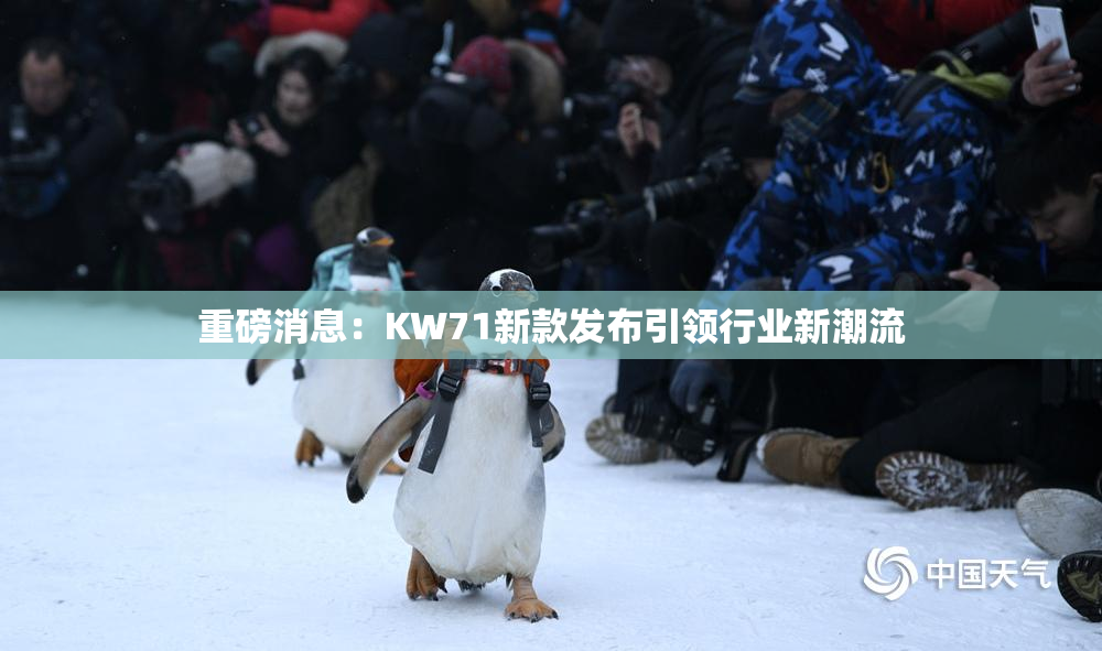 重磅消息：KW71新款发布引领行业新潮流