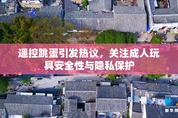 遥控跳蛋引发热议，关注成人玩具安全性与隐私保护