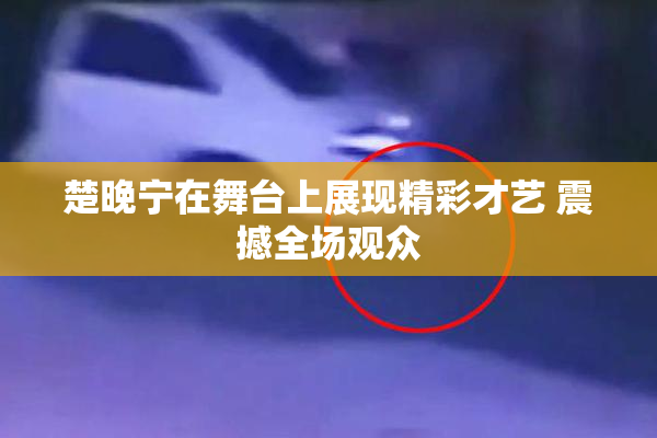 楚晚宁在舞台上展现精彩才艺 震撼全场观众