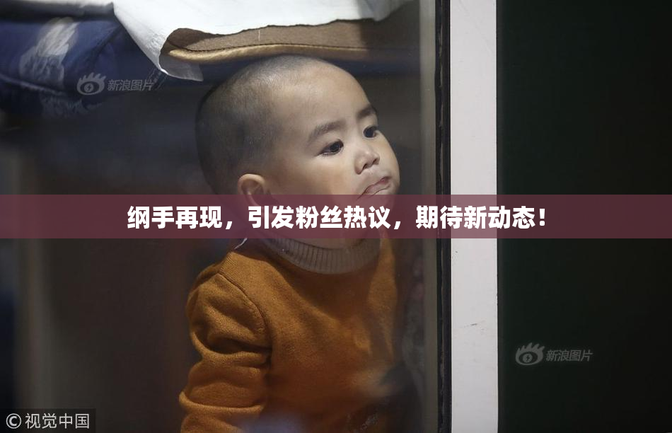 纲手再现，引发粉丝热议，期待新动态！
