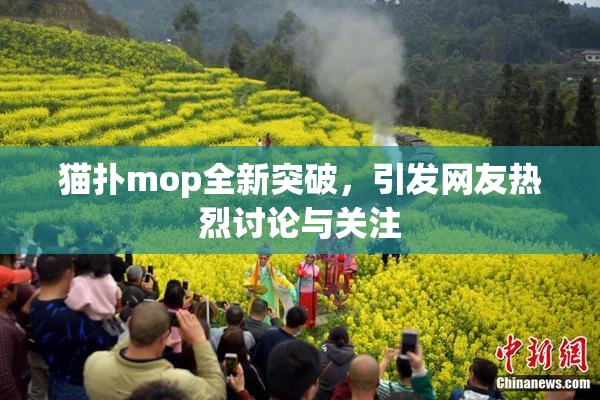 猫扑mop全新突破，引发网友热烈讨论与关注
