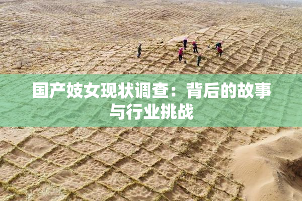 国产妓女现状调查：背后的故事与行业挑战