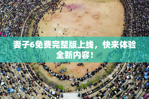 妻子6免费完整版上线，快来体验全新内容！