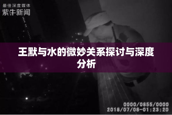 王默与水的微妙关系探讨与深度分析