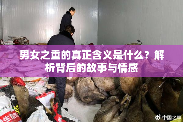男女之重的真正含义是什么？解析背后的故事与情感