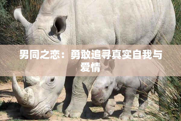 男同之恋：勇敢追寻真实自我与爱情