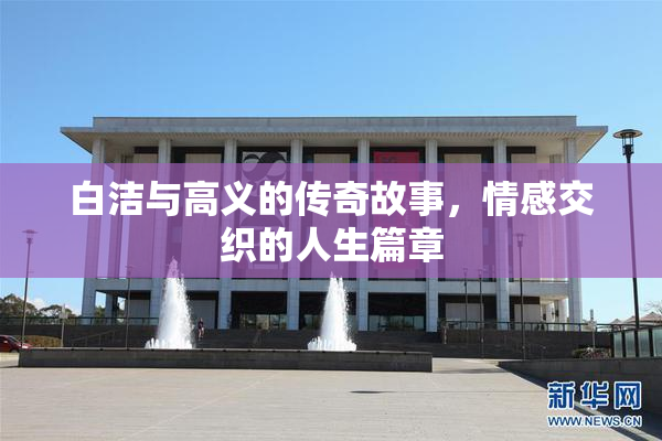 白洁与高义的传奇故事，情感交织的人生篇章