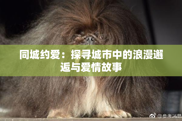 同城约爱：探寻城市中的浪漫邂逅与爱情故事