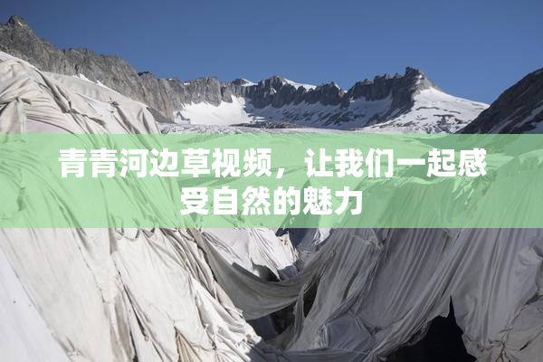 青青河边草视频，让我们一起感受自然的魅力