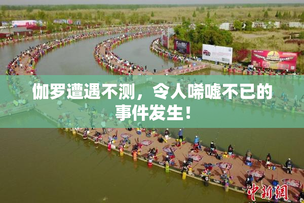 伽罗遭遇不测，令人唏嘘不已的事件发生！