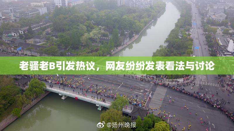 老骚老B引发热议，网友纷纷发表看法与讨论