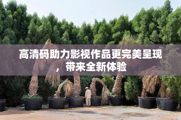 高清码助力影视作品更完美呈现，带来全新体验