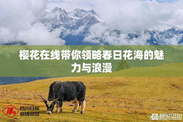 樱花在线带你领略春日花海的魅力与浪漫