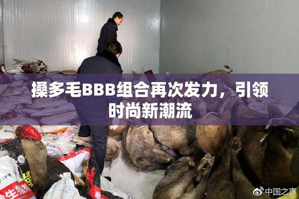 搡多毛BBB组合再次发力，引领时尚新潮流