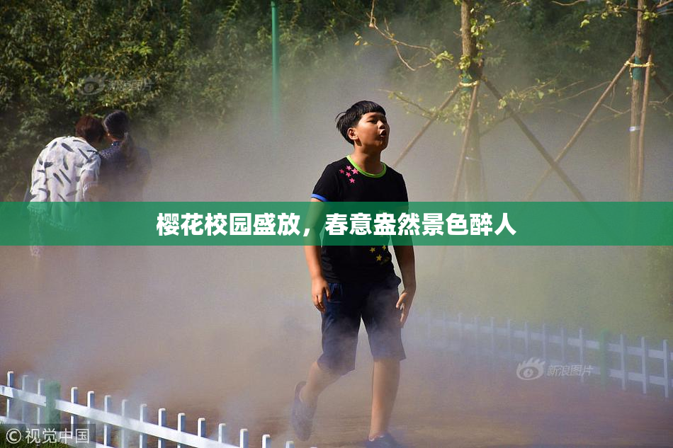 樱花校园盛放，春意盎然景色醉人