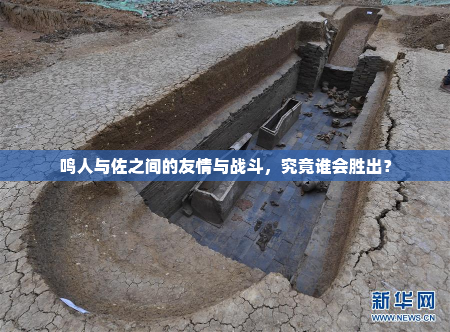 鸣人与佐之间的友情与战斗，究竟谁会胜出？