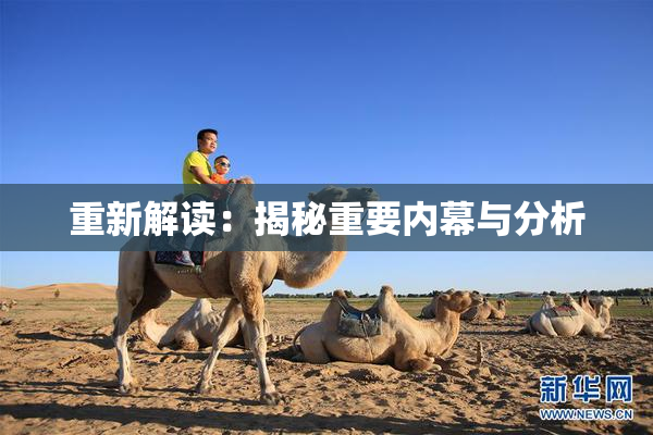 重新解读：揭秘重要内幕与分析