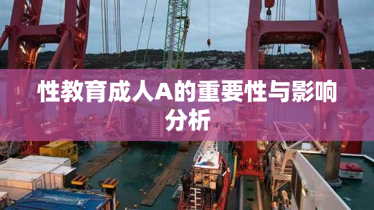 性教育成人A的重要性与影响分析