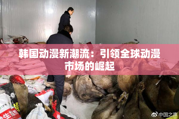 韩国动漫新潮流：引领全球动漫市场的崛起