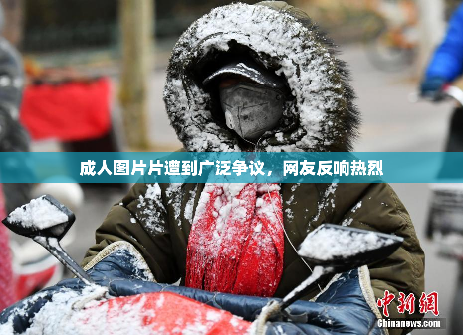 成人图片片遭到广泛争议，网友反响热烈