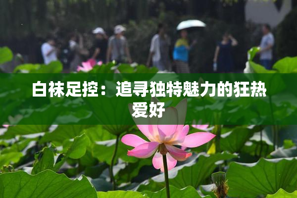 白袜足控：追寻独特魅力的狂热爱好