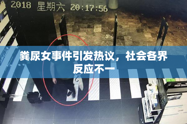 粪尿女事件引发热议，社会各界反应不一