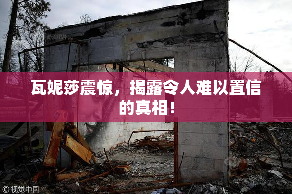 瓦妮莎震惊，揭露令人难以置信的真相！