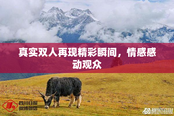 真实双人再现精彩瞬间，情感感动观众