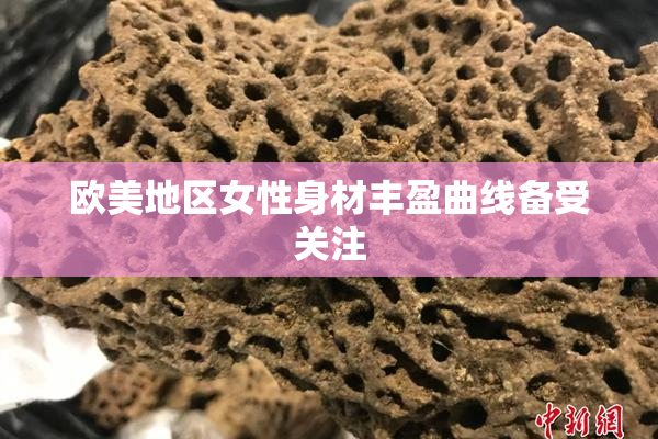 欧美地区女性身材丰盈曲线备受关注