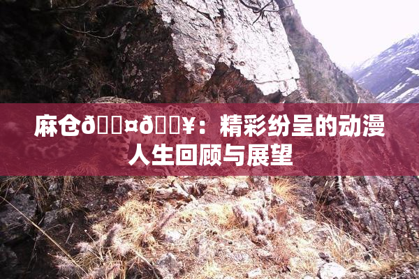 麻仓🖤🔥：精彩纷呈的动漫人生回顾与展望
