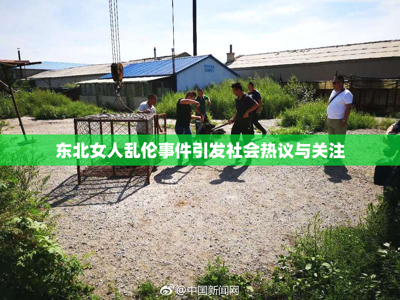 东北女人乱伦事件引发社会热议与关注