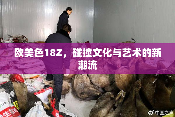 欧美色18Z，碰撞文化与艺术的新潮流
