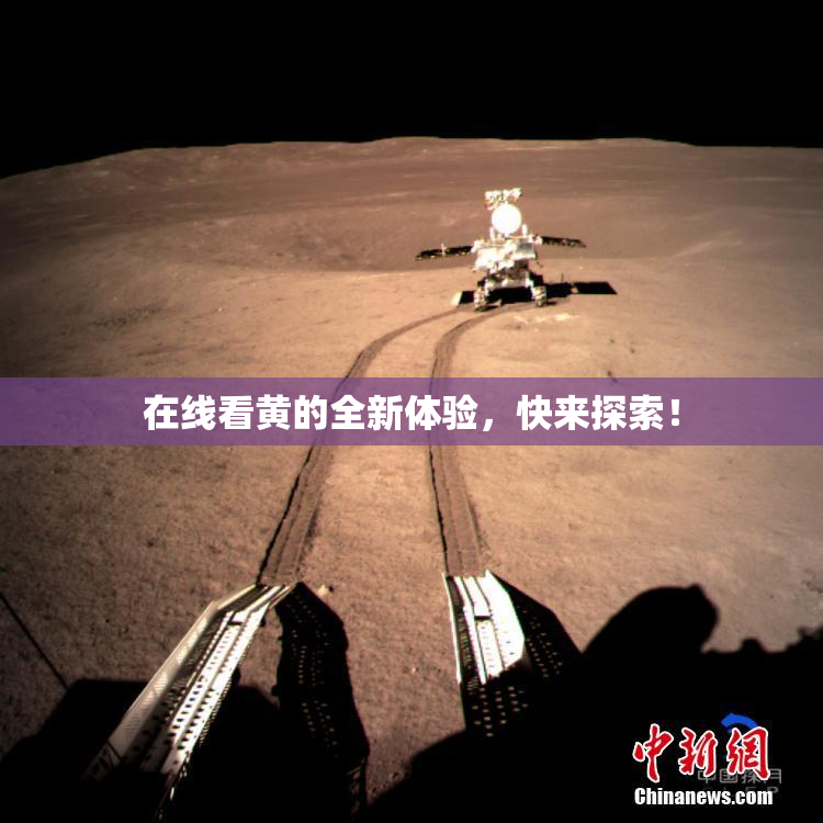 在线看黄的全新体验，快来探索！