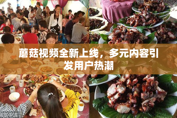 蘑菇视频全新上线，多元内容引发用户热潮