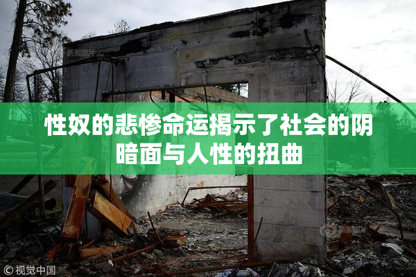 性奴的悲惨命运揭示了社会的阴暗面与人性的扭曲