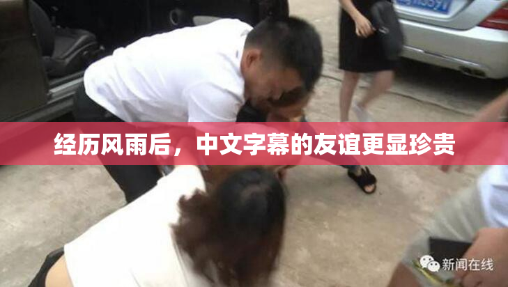 经历风雨后，中文字幕的友谊更显珍贵