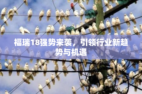 福瑞18强势来袭，引领行业新趋势与机遇