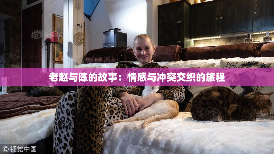 老赵与陈的故事：情感与冲突交织的旅程