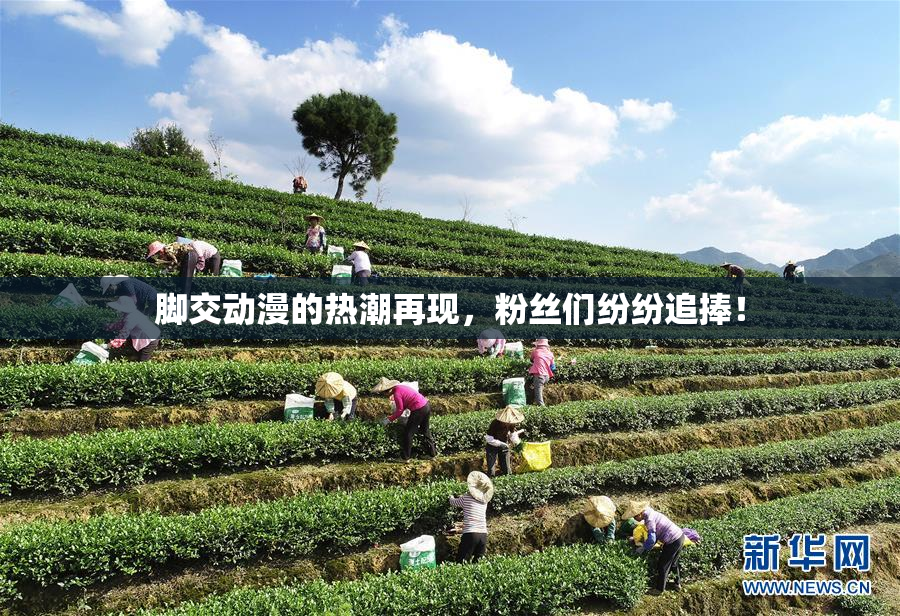 脚交动漫的热潮再现，粉丝们纷纷追捧！