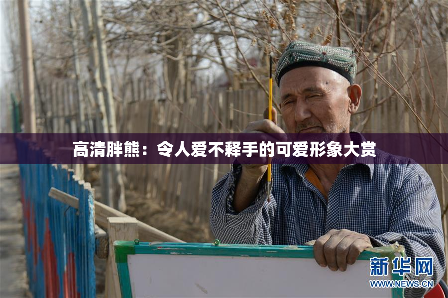 高清胖熊：令人爱不释手的可爱形象大赏