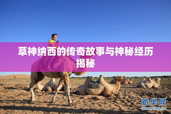 草神纳西的传奇故事与神秘经历揭秘