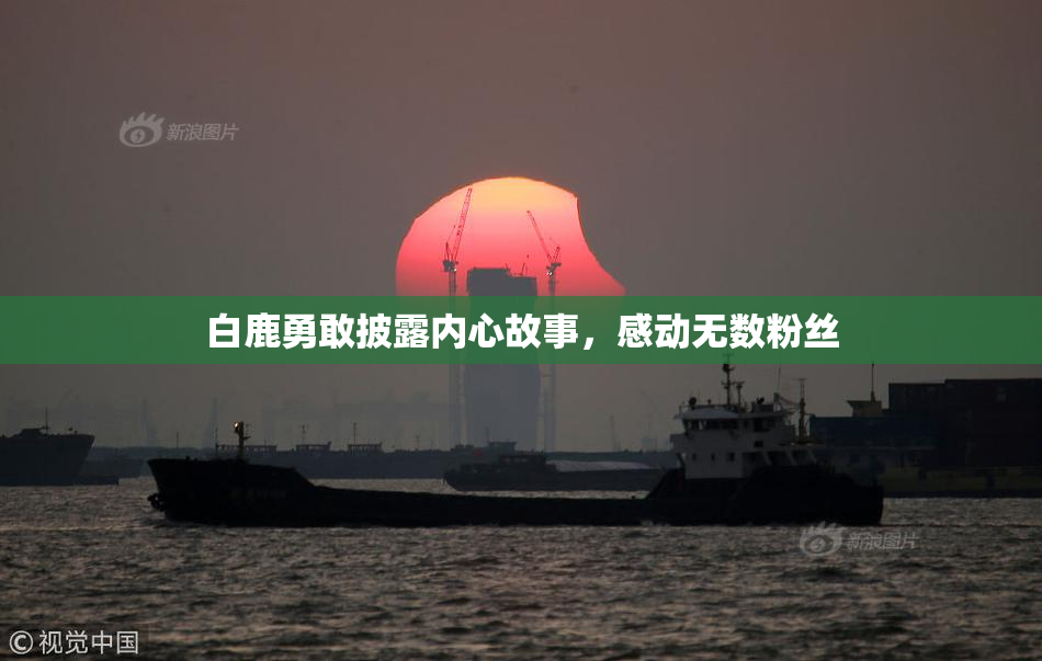 白鹿勇敢披露内心故事，感动无数粉丝