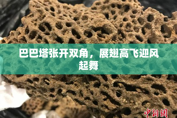 巴巴塔张开双角，展翅高飞迎风起舞