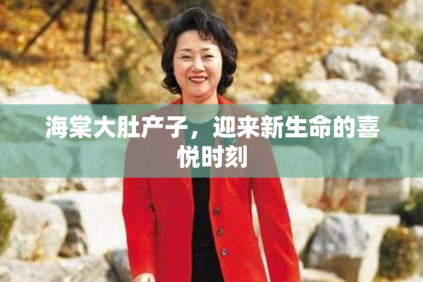海棠大肚产子，迎来新生命的喜悦时刻