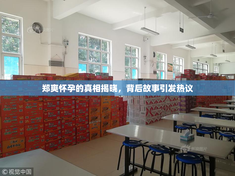 郑爽怀孕的真相揭晓，背后故事引发热议