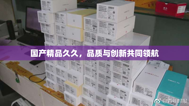 国产精品久久，品质与创新共同领航