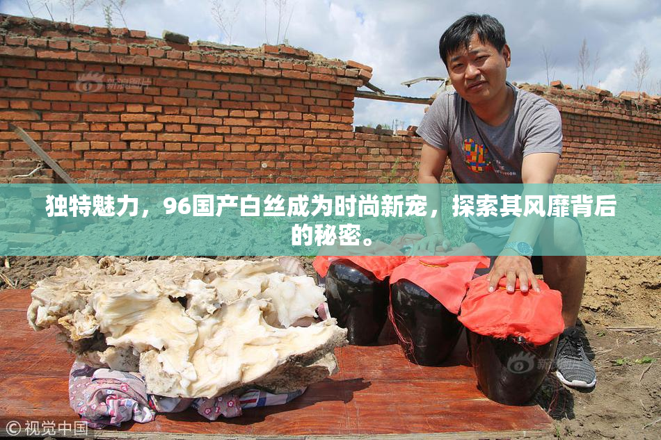 独特魅力，96国产白丝成为时尚新宠，探索其风靡背后的秘密。