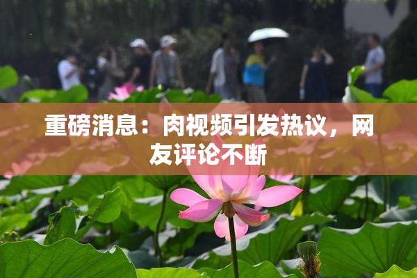 重磅消息：肉视频引发热议，网友评论不断