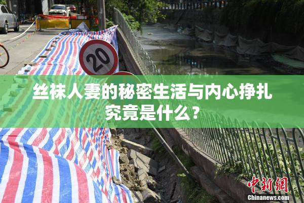 丝袜人妻的秘密生活与内心挣扎究竟是什么？