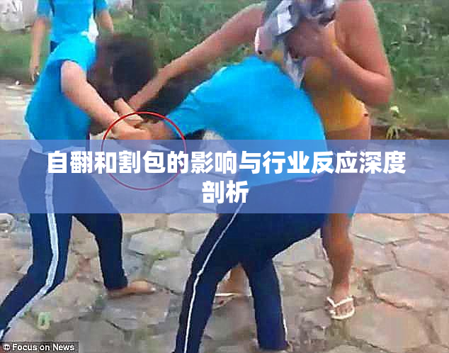 自翻和割包的影响与行业反应深度剖析